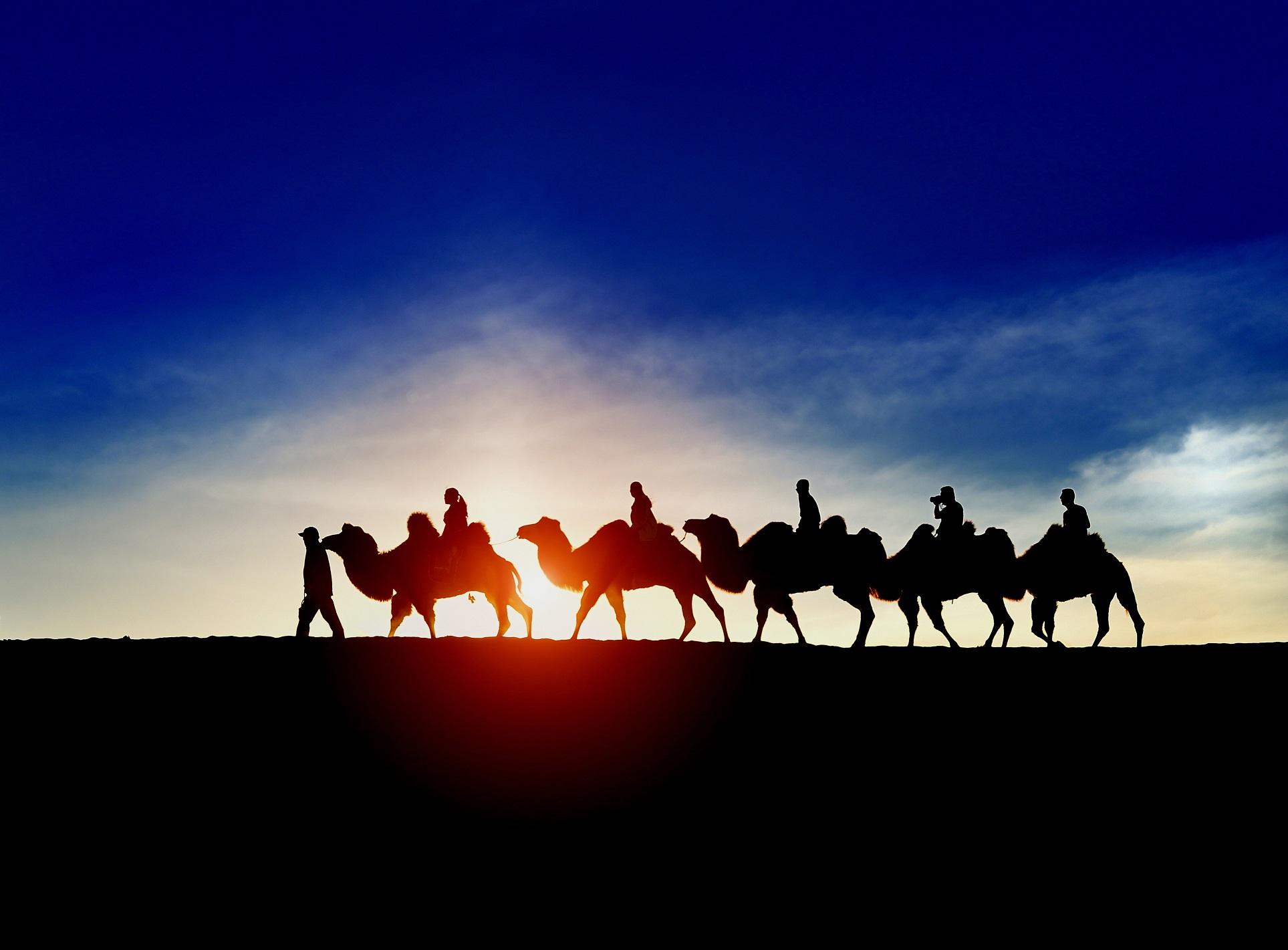 shutterstock_224339167