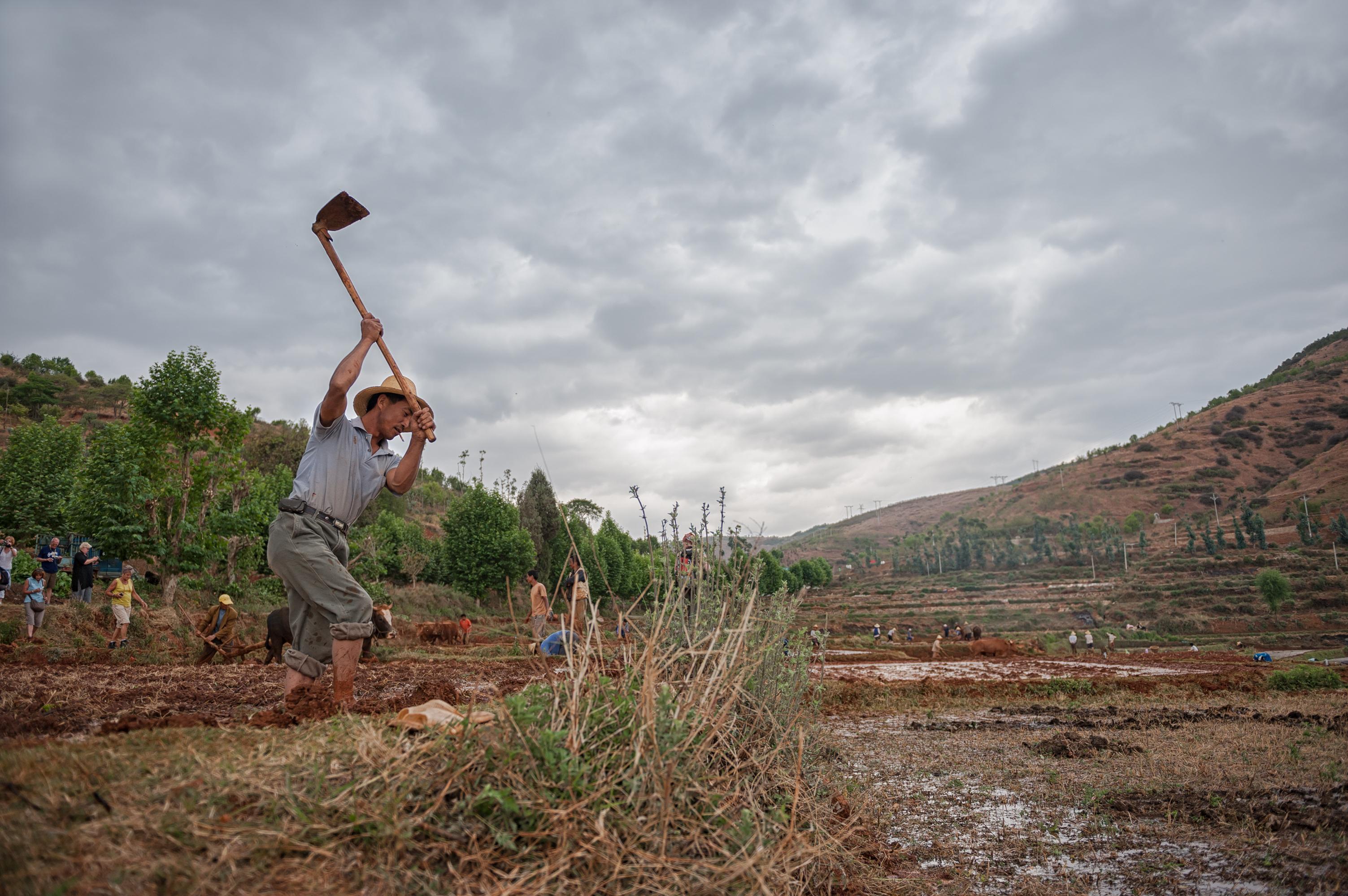 shutterstock_254572660