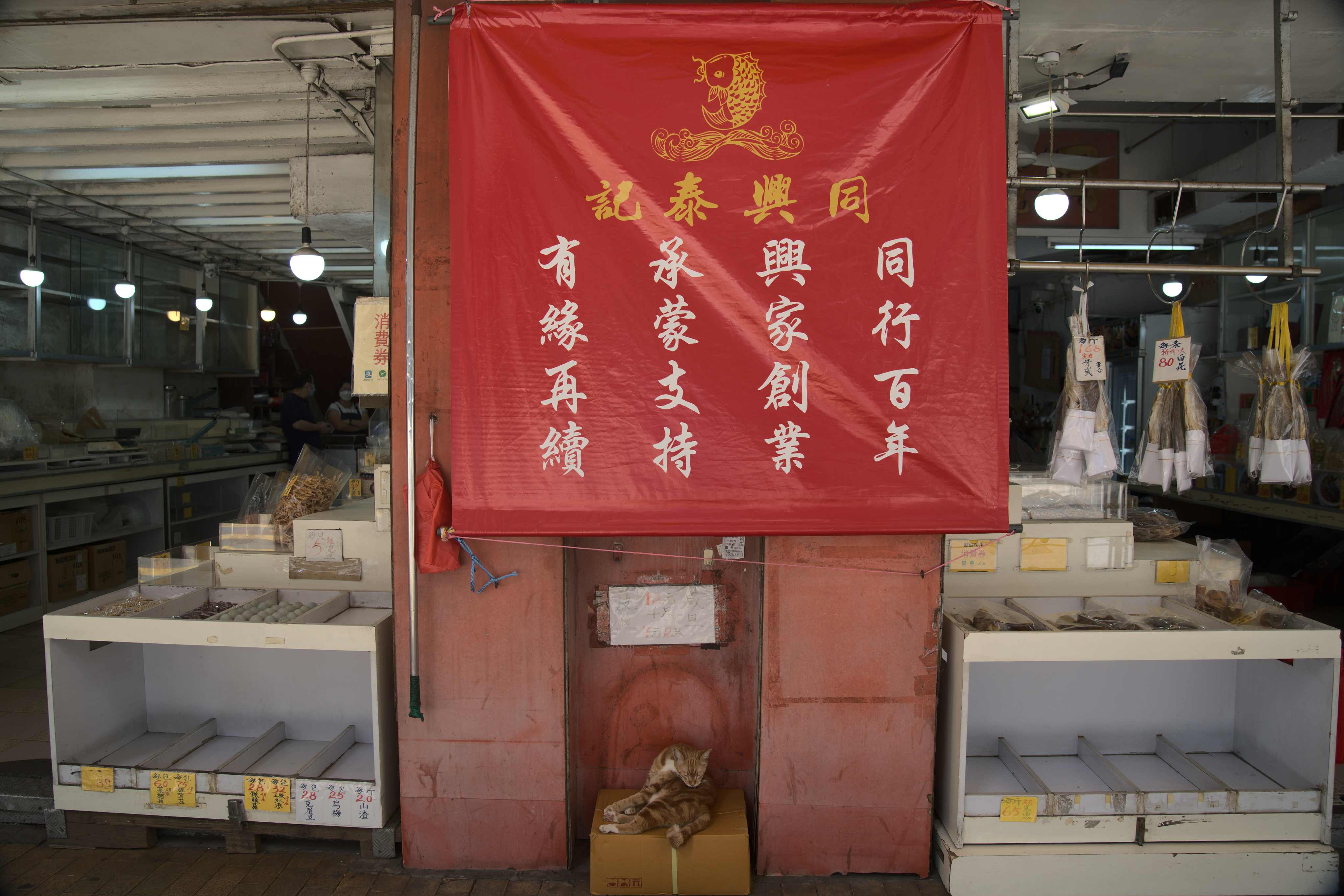 dsc01464